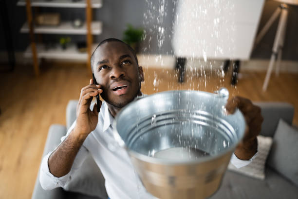 Best Commercial water damage restoration  in Orlando, FL