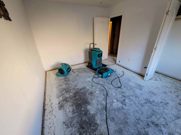 Best Flood damage cleanup  in Orlando, FL