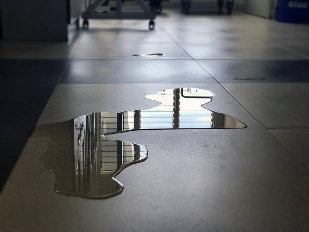 Best Professional water damage repair  in Orlando, FL