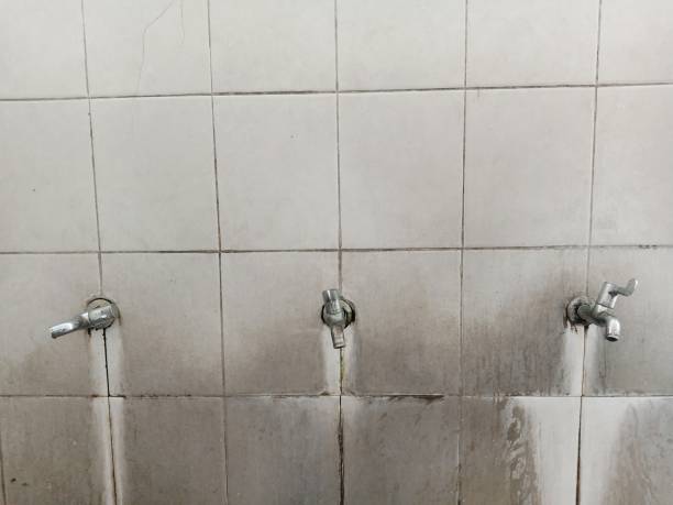 Best Water damage restoration company  in Orlando, FL