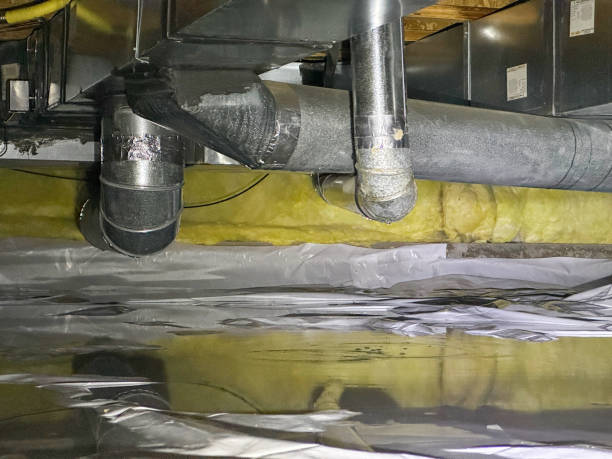 Best Water damage cleanup near me  in Orlando, FL