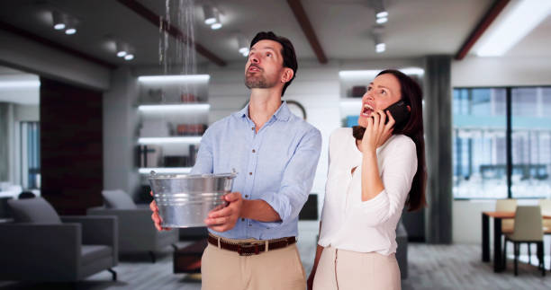 Best Ceiling water damage repair  in Orlando, FL