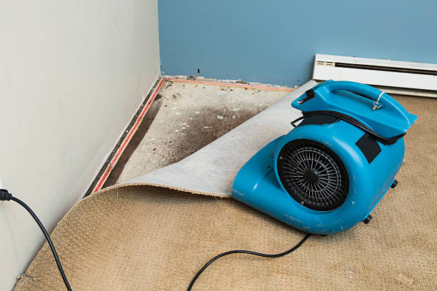 Best Water damage contractors near me  in Orlando, FL